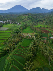 aerial rice terrace secenery