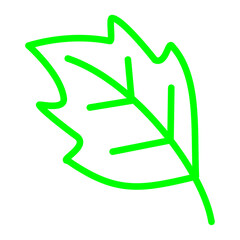 leaf icon isolated on white background, vector illustration