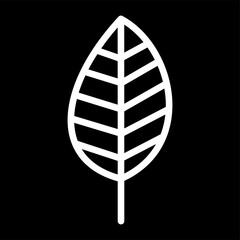 leaf icon isolated in black background, vector illustration