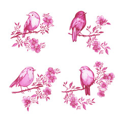Set pink robin bird sitting on a branch in Toile de Jouy fabric style. Hand drawn monochrome watercolor painting illustration isolated on white background - 745706773