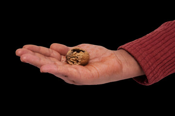 Nature's Delight: Hand Holding a Cracked Walnut Against Dark Backdrop, An image capturing a hand,...