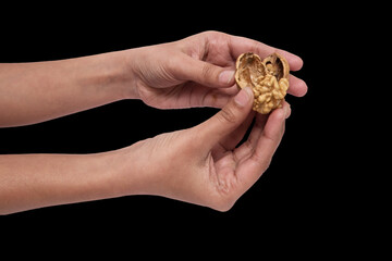 Revealing Nature's Secret: Cracking open a fresh walnut by hand, An image captures the moment when...
