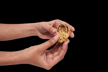 Unveiling Nature's Treasure: Hands Cracking Open a Fresh Walnut, An image capturing the moment a...
