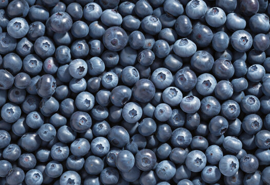 a collection of blueberries isolated on a transparent background