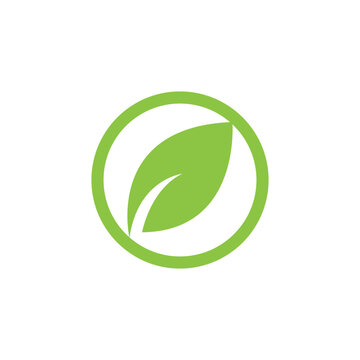 Eco logo with leaf nature