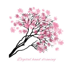 A spring tree with pink flowers on a white background. Flowering branches of a spring tree, hand-drawn
