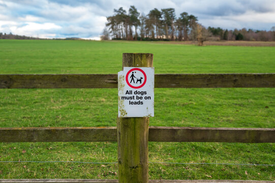 Shallow focus of a generic warning to dog owners that they must be on a leash due to nearby cattle. Seen at the perimeter of English farmland.