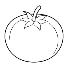 Vector of tomato illustration coloring page for kids