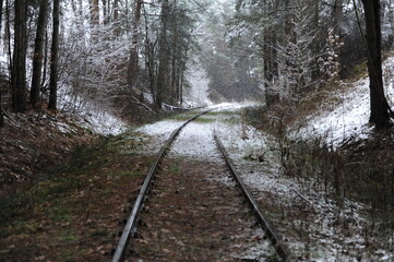 Railway and railroad tracks in the winter forest with snow and trees during winter. Beautiful landscape. - Powered by Adobe