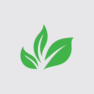 Eco icon green leaf vector illustration template