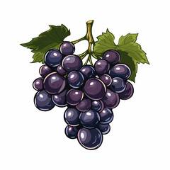 flat logo vector of black grapes fresh fruit icon isolated white background