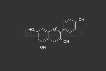 Fototapeta na wymiar Pelargonidin molecular skeletal chemical formula
