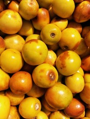 Apple ber berry Indian Jujube berries jujuba fruit food Indian-plum chinese date chinese-apple juicy ripe dunks ziziphus mauritiana raw closeup view image picture stock photo 
