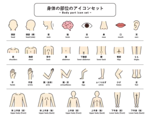 Foto op Plexiglas 体（身体）の部位のアイコンセット　パーツ　人体　ピクトグラム　健康　上半身　下半身　マッサージ　医療 © yugoro