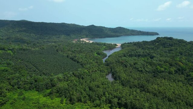 Aerial view of the Malanza river and Mangrove forests of south Sao Tome, Africa