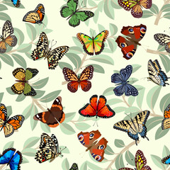 Multi-colored butterflies on green leaves.Multicolored butterflies on a background of leaves in a vector pattern.