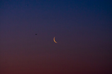 moon in the sky