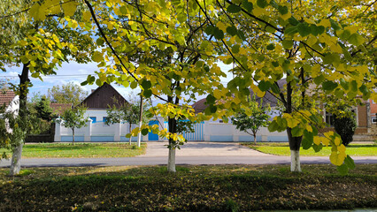 autumn landscape in rural village Backi Petrovac, Vojvodina