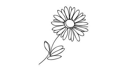Daisy flower in continuous line art drawing style. Chamomile One line drawing art. Minimalist black linear sketch.