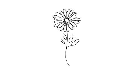 Daisy flower in continuous line art drawing style. Chamomile One line drawing art. Minimalist black linear sketch.