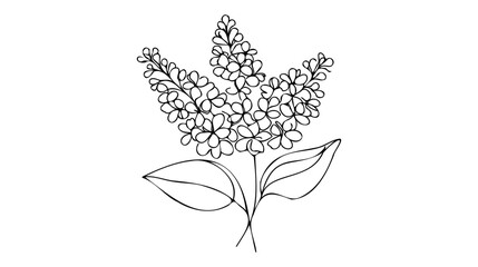 One continuous line drawing beauty fresh syringa vulgaris for garden logo.