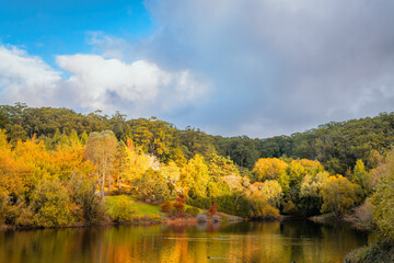 Colourful Australian autumn by the pond in Mount Lofty botanic garden in Crafers, Adelaide Hills, South Australia