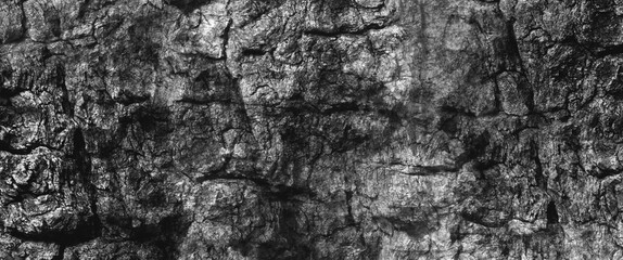 Dark gray and white stone texture, abstraction; background