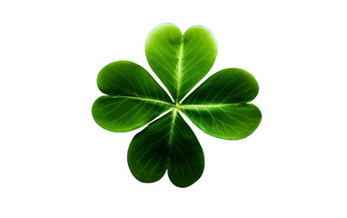 Close-up of a Four-Leaf Clover, Symbolizing Good Fortune Isolated on Transparent Background PNG.