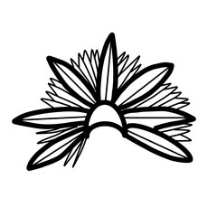 inca hair hat fashion
