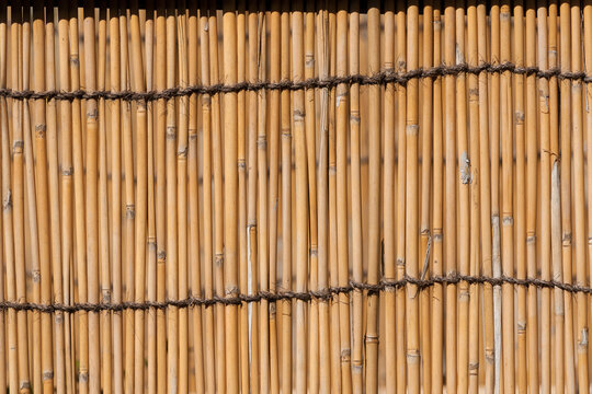 Yellow Bamboo canes stockade as background