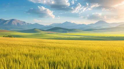 Obraz premium Scenic landscape of endless fields of ripe wheat against the backdrop of mountains