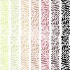 Set of colorful reptile skin backgrounds. Animal print texture.