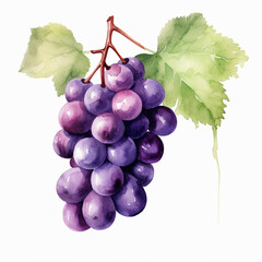 Fototapeta premium watercolor grape clipart for graphic resources сreated with Generative Ai
