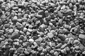 stones on the beach, black and white photo