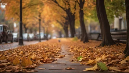 Poster Leaves on footpath amidst trees during autumn. © Hataf