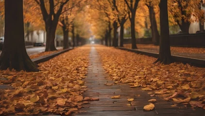Poster Leaves on footpath amidst trees during autumn. © Hataf