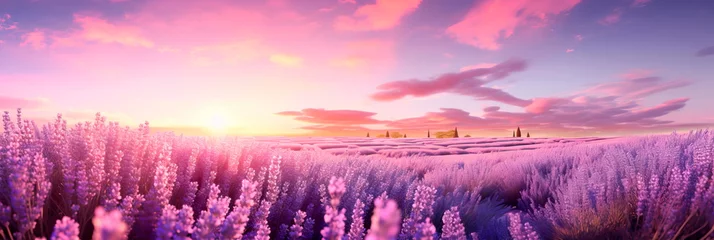 Printed kitchen splashbacks Meadow, Swamp Wonderful lavender fields in pastel and soothing colors . Generative Ai
