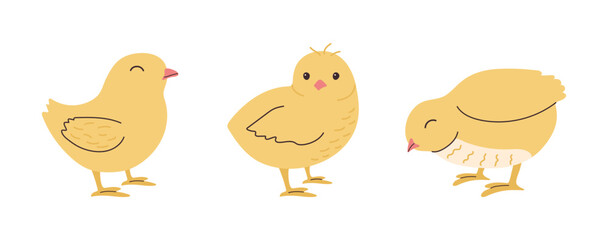 Cute hand drawn chicken set. Funny yellow kawaii Chick in different poses for holiday decoration. Cute bird in doodle style foe Easter postcard
