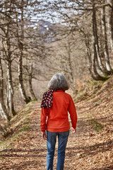 Naklejka na ściany i meble Woman walking in the woods. Healthy lifestyle. Natural environment