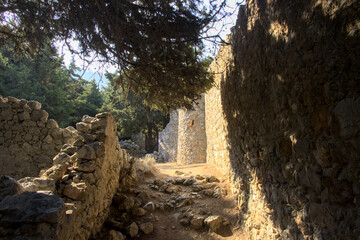 Ancient castle ruins in the forest