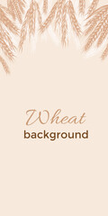 Vintage border with hand drawn spikelets of wheat in sketch vector illustration. Ears of wheat, oats, barley for decoration, packaging design of bakery or flour products.