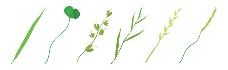 Green Grass Plant Part and Element Vector Set