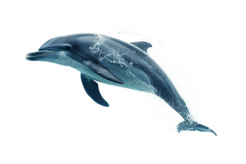 dolphin in superhero gear, leaping out of the imaginary ocean to save the day.