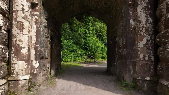 Ballysaggartmore Towers. A medieval bridge in Lismore 4k