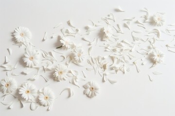 White Flowers on Pure White Background, Elegant Floral Design Concept with Beautiful Delicate Petals