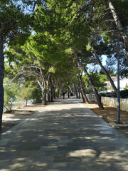 The beach promenade of Bol, Crotia on the island of Brac. Lovely sunlight