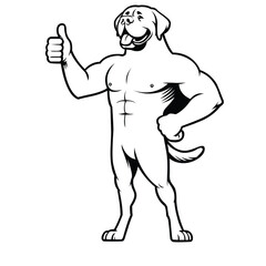 Fototapeta premium Mastiff Happy Thumbs-Up illustration Vector