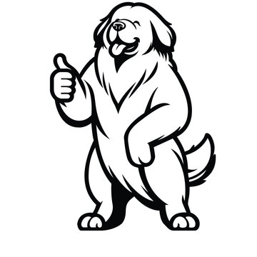 recommend clip art: Newfoundland Happy Thumbs-Up illustration Vector
                    