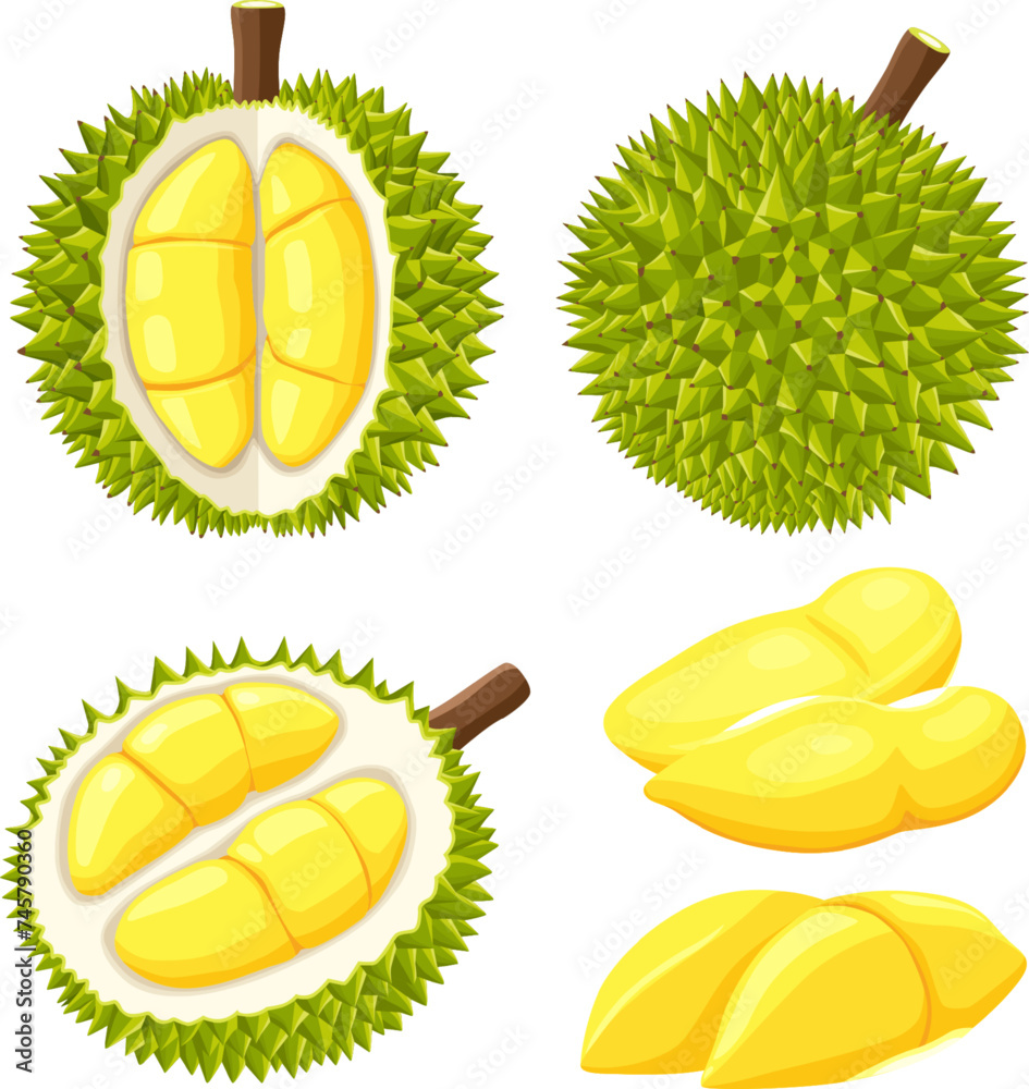 Wall mural durian isolated on white background