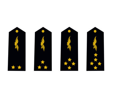 Galon de l'arm&eacute;e de l'air fran&ccedil;aise: Ensemble de galons des officiers g&eacute;n&eacute;raux: g&eacute;n&eacute;ral de brigade, division, corps d'arm&eacute;e, d'arm&eacute;e